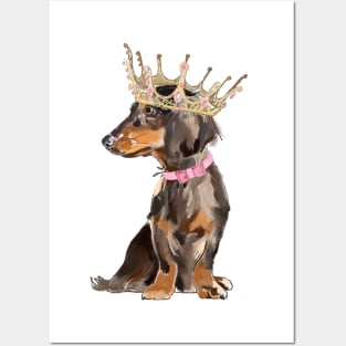 Queen dachshund Posters and Art